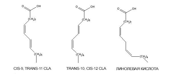 CLA по строению схожа с линолевой кислотой – жирной кислотой группы Омега-6