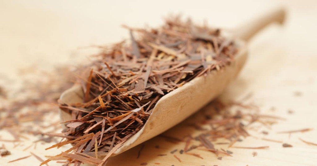 Кора муравьиного дерева