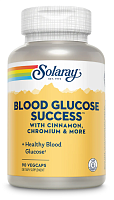 Blood Glucose Success with Cinnamon Chromium & More 90 вег капсул (Solaray)