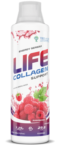 Life Collagen Support 500 мл (Tree of Life)