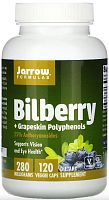 Bilberry + Grapeskin Polyphenols 280 mg 120 veggie caps (Jarrow Formulas)