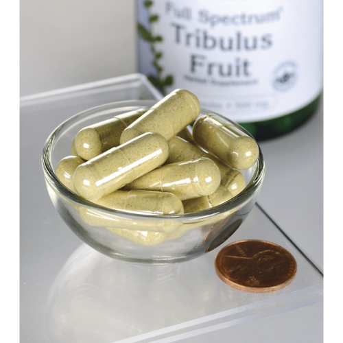 Tribulus Fruit 500 мг 90 капсул (Swanson)_ фото 2