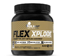 Flex Xplode 504 г (Olimp)