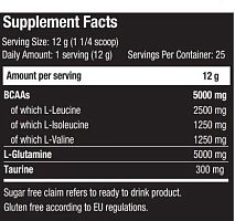 BCAA + Glutamine Xpress 300 г (Scitec Nutrition)