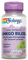 Ginkgo Biloba Extract 60 mg (Экстракт Гинкго Билоба 60 мг) 60 вег капс (Solaray)