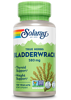 Bladderwrack 580 mg (Ламинария 580 мг) 100 вег капсул (Solaray)