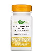 Pantotenic Acid (Пантотеновая кислота витамин B5) 250 мг 100 капсул (Nature's Way)