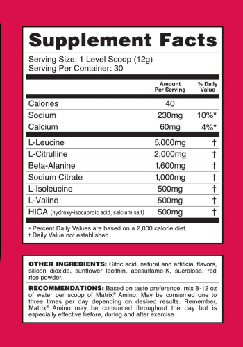 Matrix Bcaa Amino Blend (БЦАА + L-Цитруллин) 370 грамм (Syntrax) фото 2