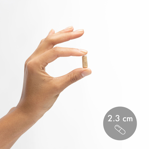 Complete Probiotics 70 Billion CFU (Пробиотики)30 капсул (Dr. Mercola) фото 3