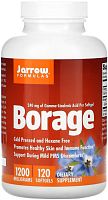 Borage GLA-240 1200 mg (Огуречник 240 мг ГЛК 1200 мг ) 120 гелевых капсул (Jarrow Formulas)