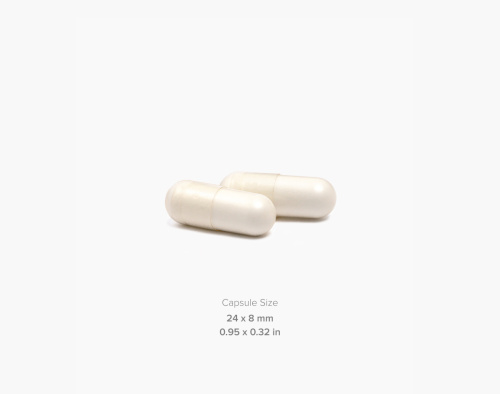 MAXLER Liver Support 60 vcaps фото 3