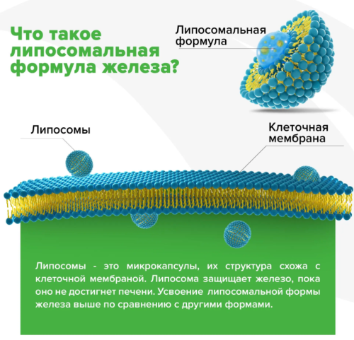 Liposomal Iron (Липосомальное Железо) 25 мг 90 капсул (Orzax) фото 2