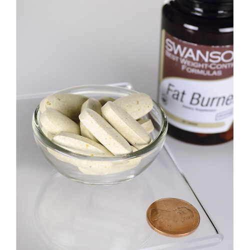 Fat Burner (Сжигатель жира) 60 таблеток (Swanson) фото 2