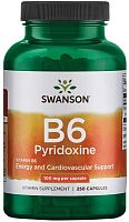 Pyridoxin B6 100 мг (Витамин Б6) 250 капсул (Swanson)