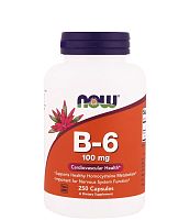 Vitamin B-6 100 мг (Пиридоксин) 250 вег капс (Now Foods)