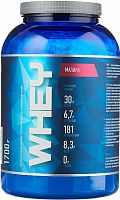 Whey 1700 гр (R-Line) Срок 12.22