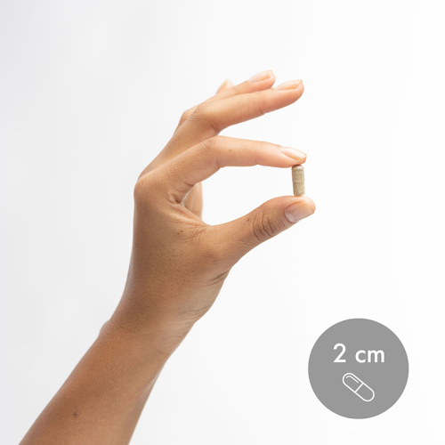 Digestive Enzymes 30 капсул (Dr. Mercola) срок 12/2025 фото 2