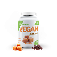 VEGAN Protein 750 г (CYBERMASS)
