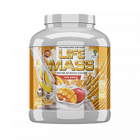 Life Mass 2700 г - 6 lb (Tree of Life)