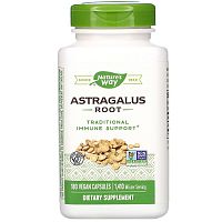 Astragalus Root 1410 мг (Корень Астрагал) 180 веган капсул (Nature's Way)
