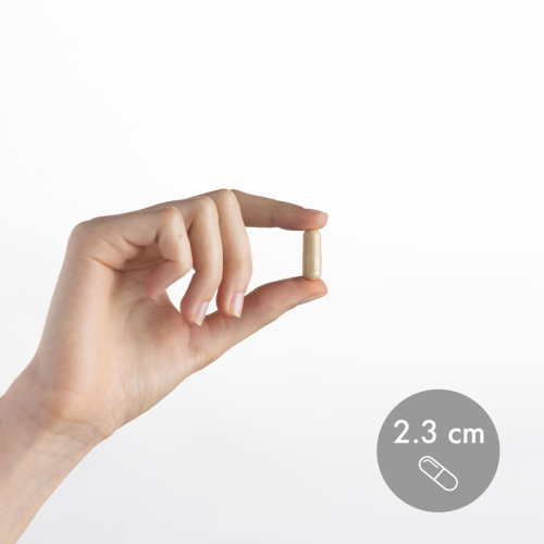 Lion's Mane Mushroom extract 500 mg (ежовик гребенчатый 500 мг) 30 капсул (Dr. Mercola) фото 3