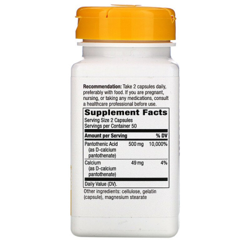 Pantotenic Acid (Пантотеновая кислота витамин B5) 500 мг 100 капсул (Nature's Way) фото 2